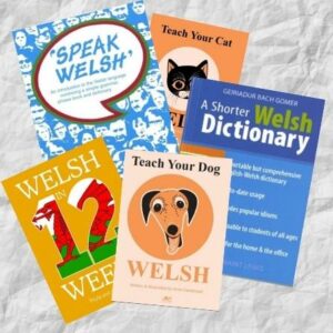 LEARNING WELSH/DYSGU CYMRAEG